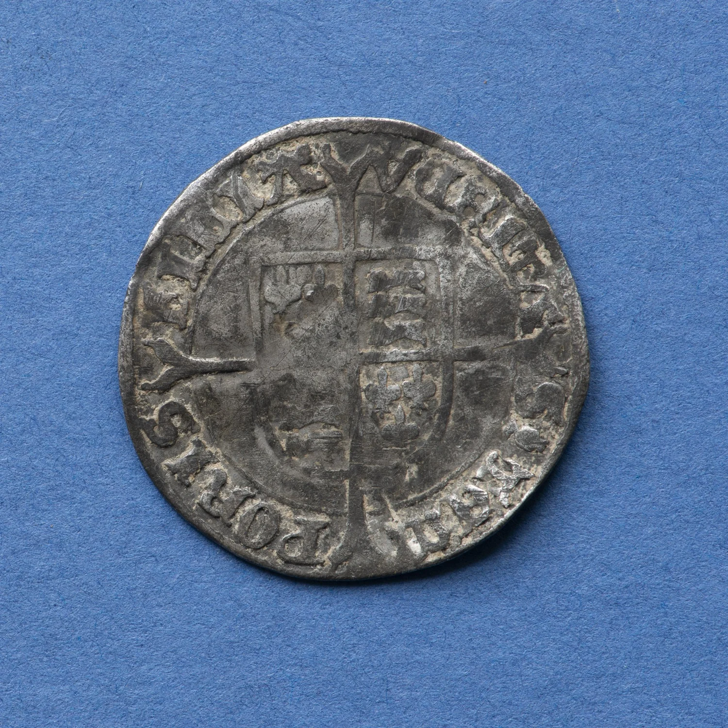8101431.jpg