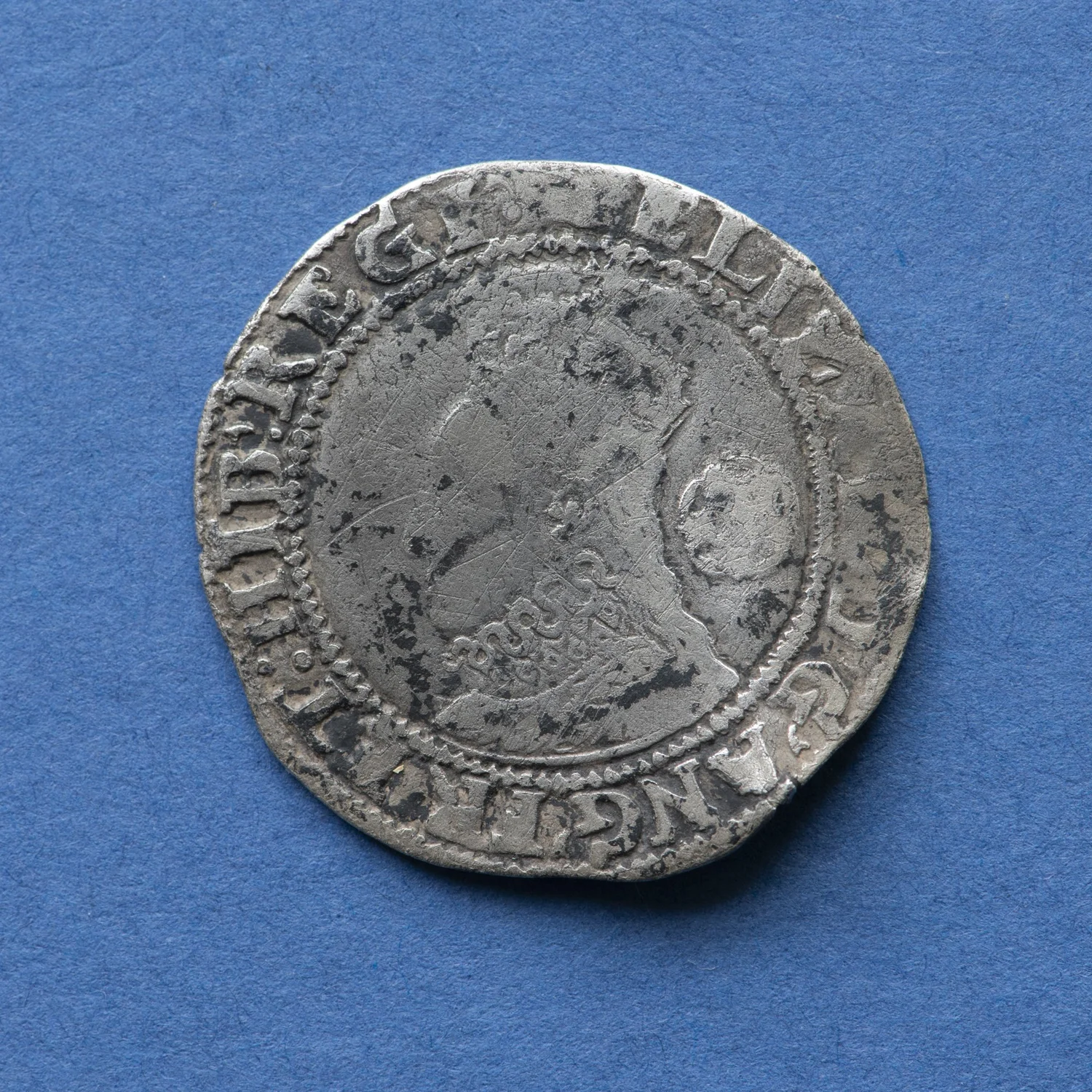 8101434.jpg
