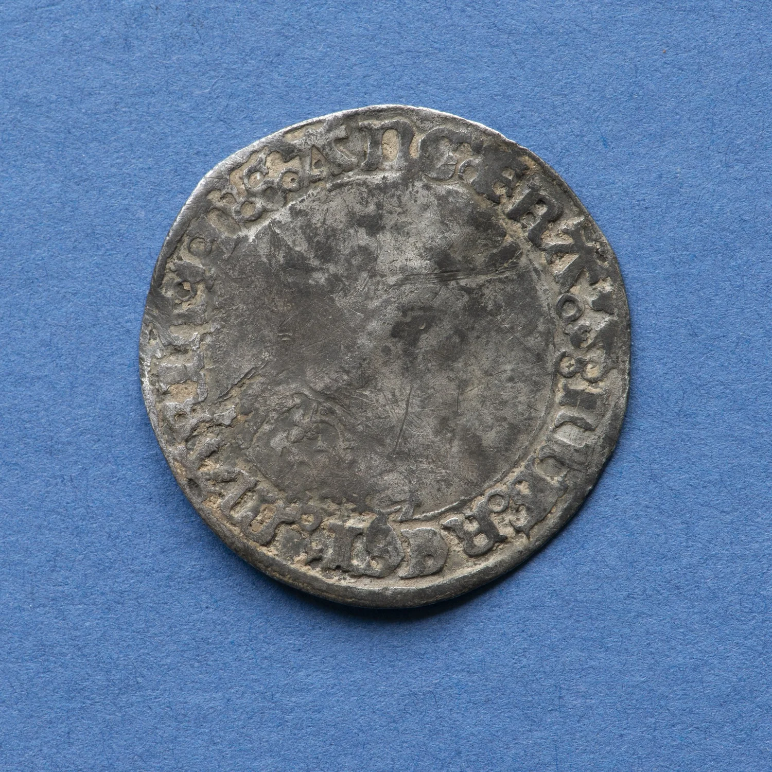 8101432.jpg